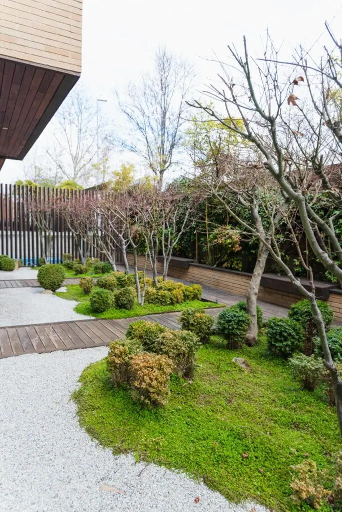 ZEN-FOTOS-VARIOS-206_optimizada-683x1024